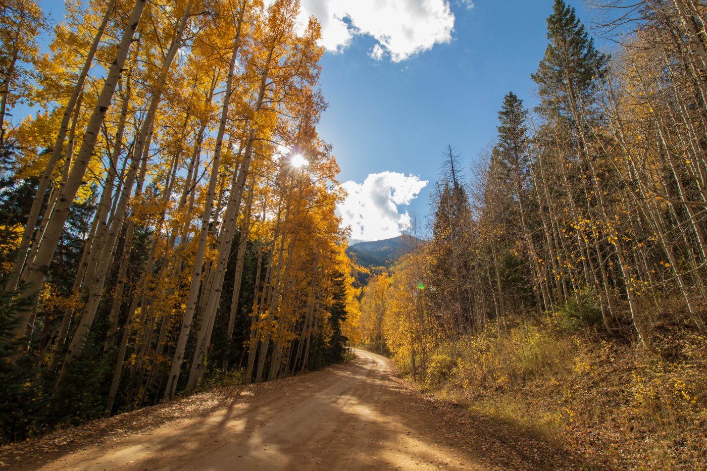 Fall colors